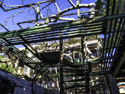 E' stata costruita per raggiungere e sostenere la vite rampicante e i rami pi� alti del pino alto pi� di 10 metri e del fico che si estende per tutta la lunghezza dell'abitazione